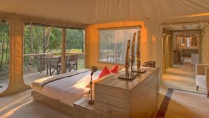 8 Days Kenya Family Holiday Safari-kichwa-tembo-on-a-luxury-safari-in-the-masia-mara