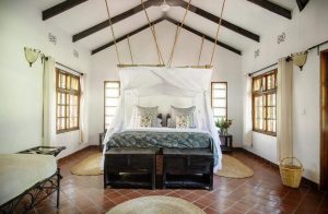 9 Days Tanzania Tarangire Ngorongoro Serengeti Safari - Rivertrees Country Inn