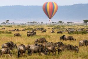 3 Days Masai Mara Safari by Air,1