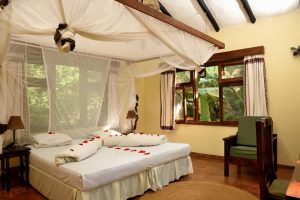 Moivaro Eco lodge