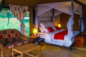 Osinon Serengeti Camp