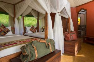 Serengeti Simba Eco lodge