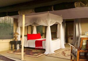 Zebra Plains Mara Camp