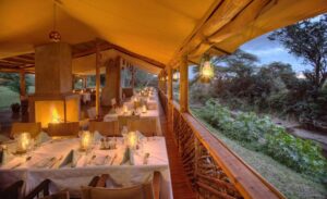 Mara Base Camp Luxury Tented Camp